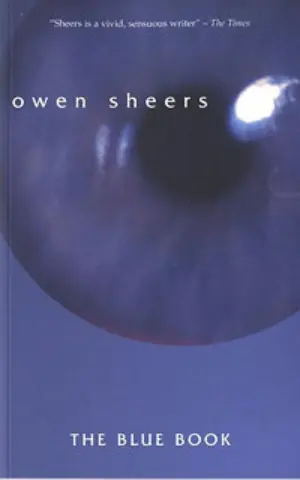 Cover for "The Blue Book"