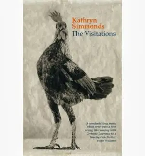 Cover for "The Visitations"