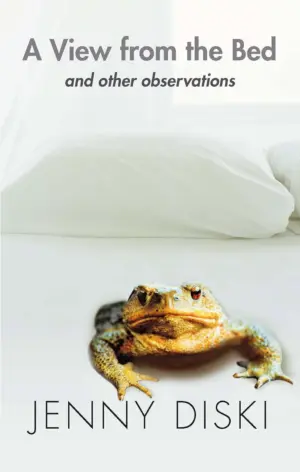 Cover for "A View from the Bed"