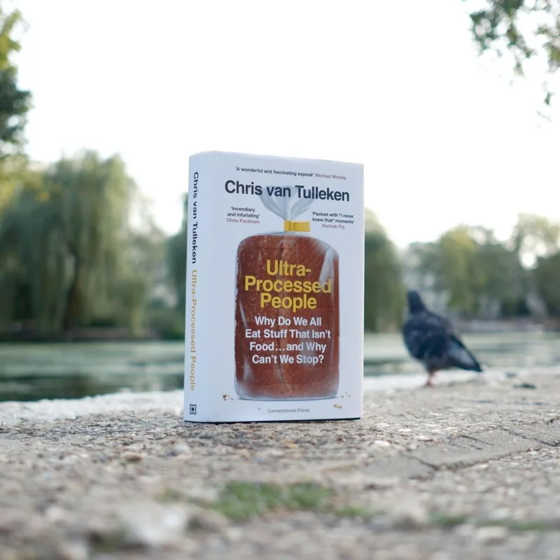 375269660 347686564260276 5106174790882451589 n