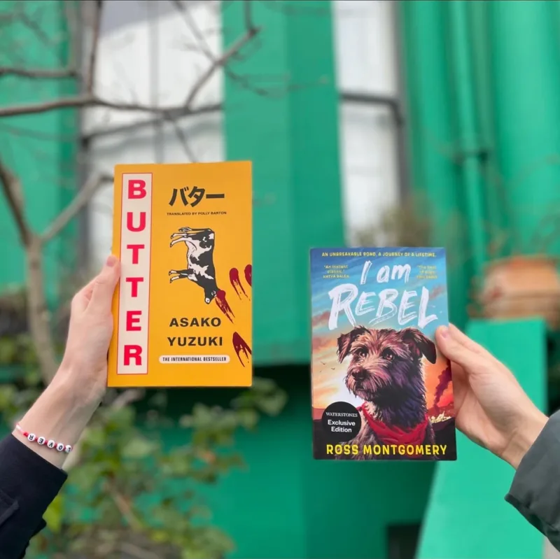 A5285377 b4e4 45e0 807d 3c1c7e63a95d